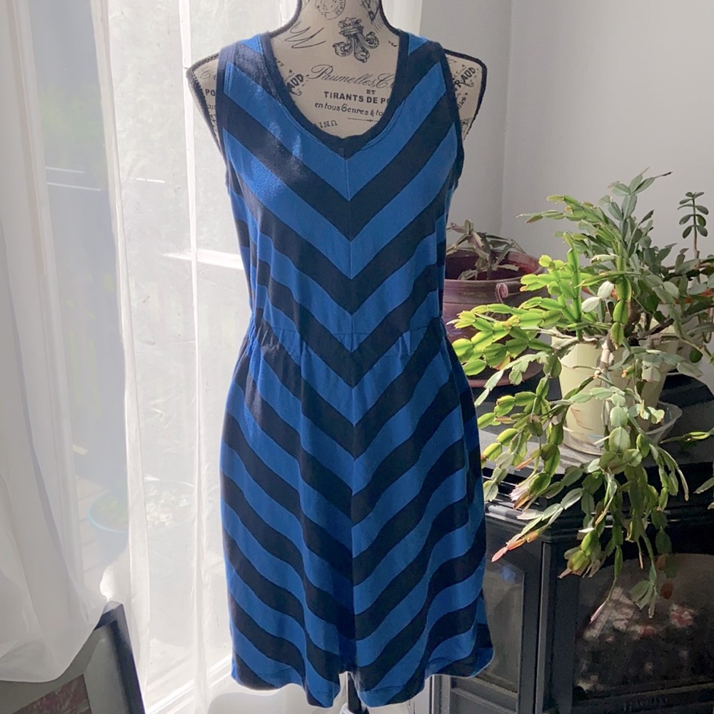 Gap dress in royal and navy
